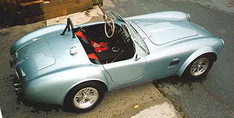 Cobra Reproduction