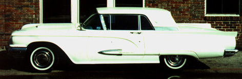 Thunderbird