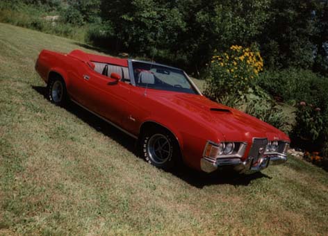 Cougar Convertible