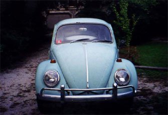 Beetle