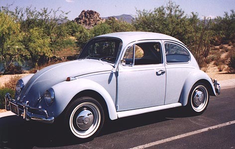 Beetle
