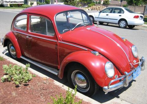 Beetle