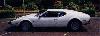 Pantera L