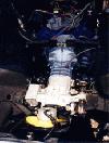 Pantera L