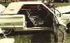 Thunderbird