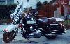 Roadking