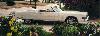 Eldorado Convertible