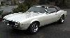 Firebird