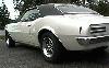 Firebird