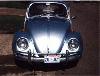Beetle