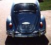 Beetle