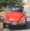 Super Beetle Convertible