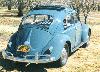 RHD Ragtop Beetle