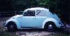 Beetle