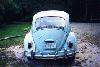 Beetle