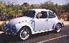 Beetle