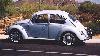Beetle