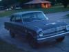 Falcon