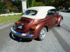 Beetle Champagne II Edition